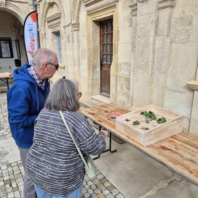 Photo Jeu en Bois - La Grenouille